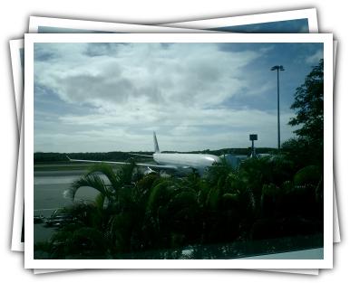 plane in cairns